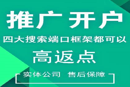 SEM账户竞价策略实战案例分析